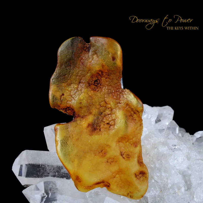 Colombian Amber Dragon Crystal Carving 'Universal Manifestation'