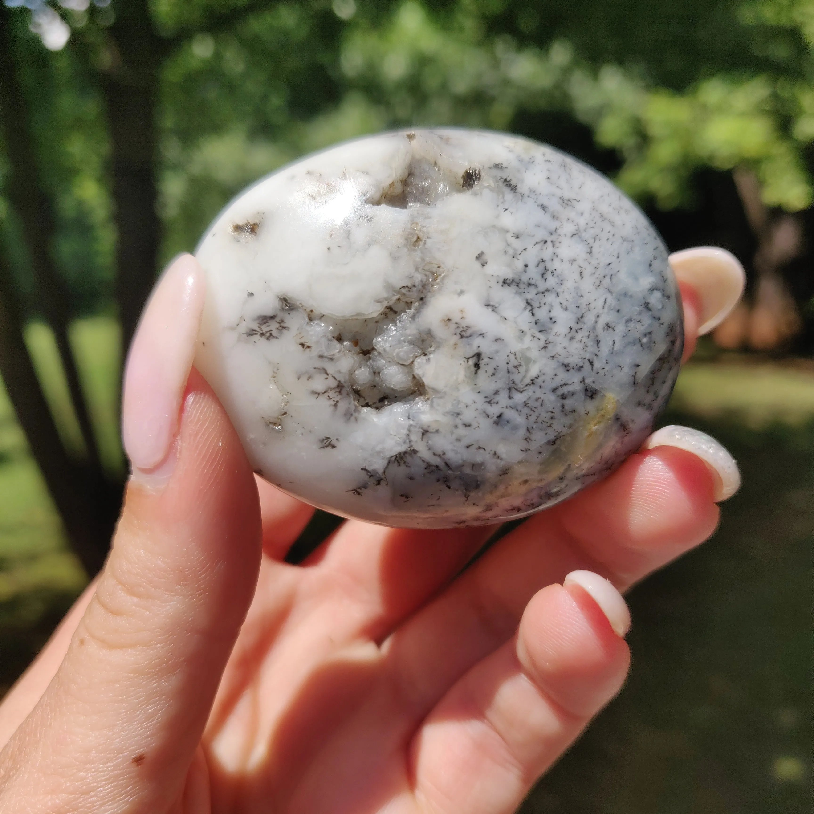 Dendritic Opal Palm Stone (#26)