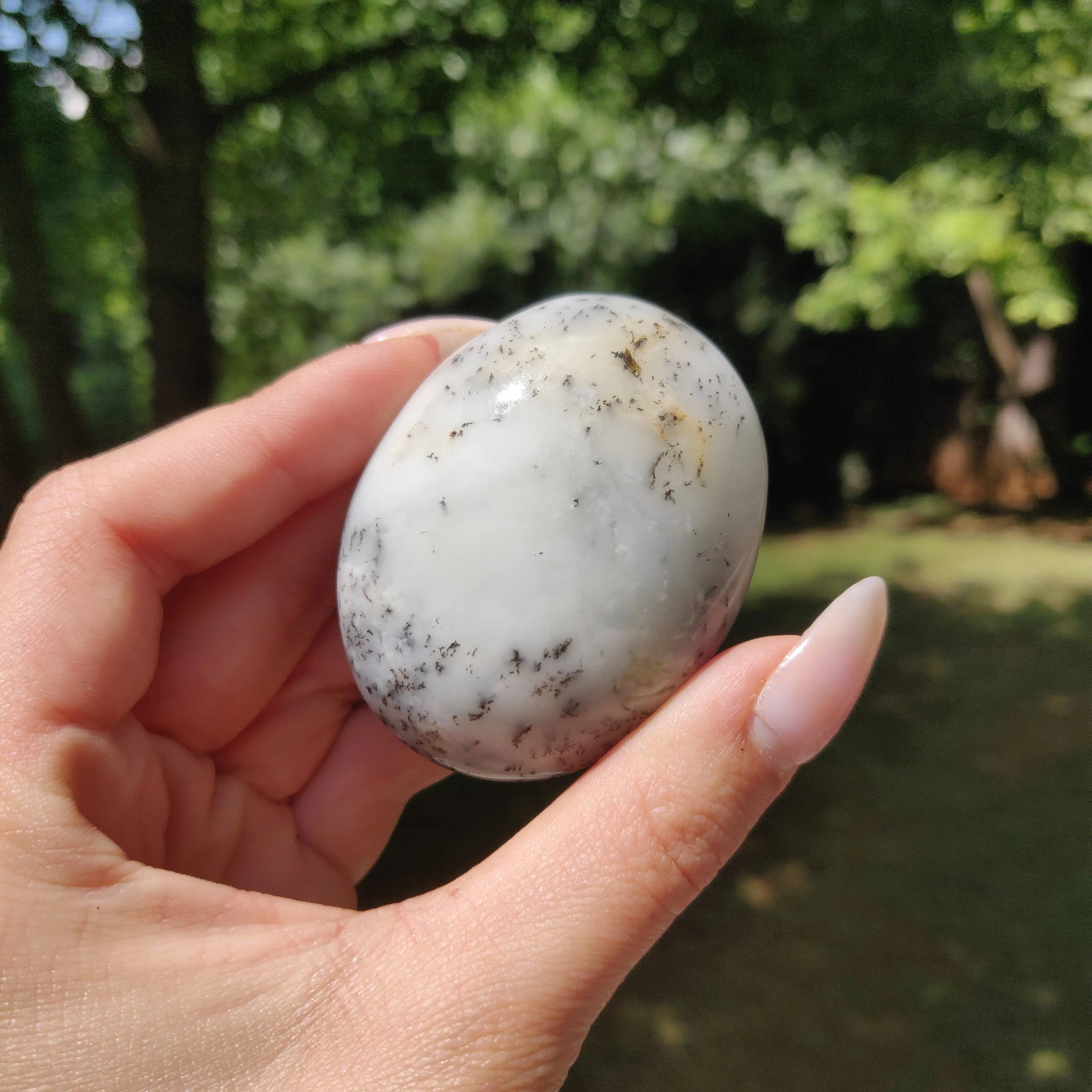 Dendritic Opal Palm Stone (#26)