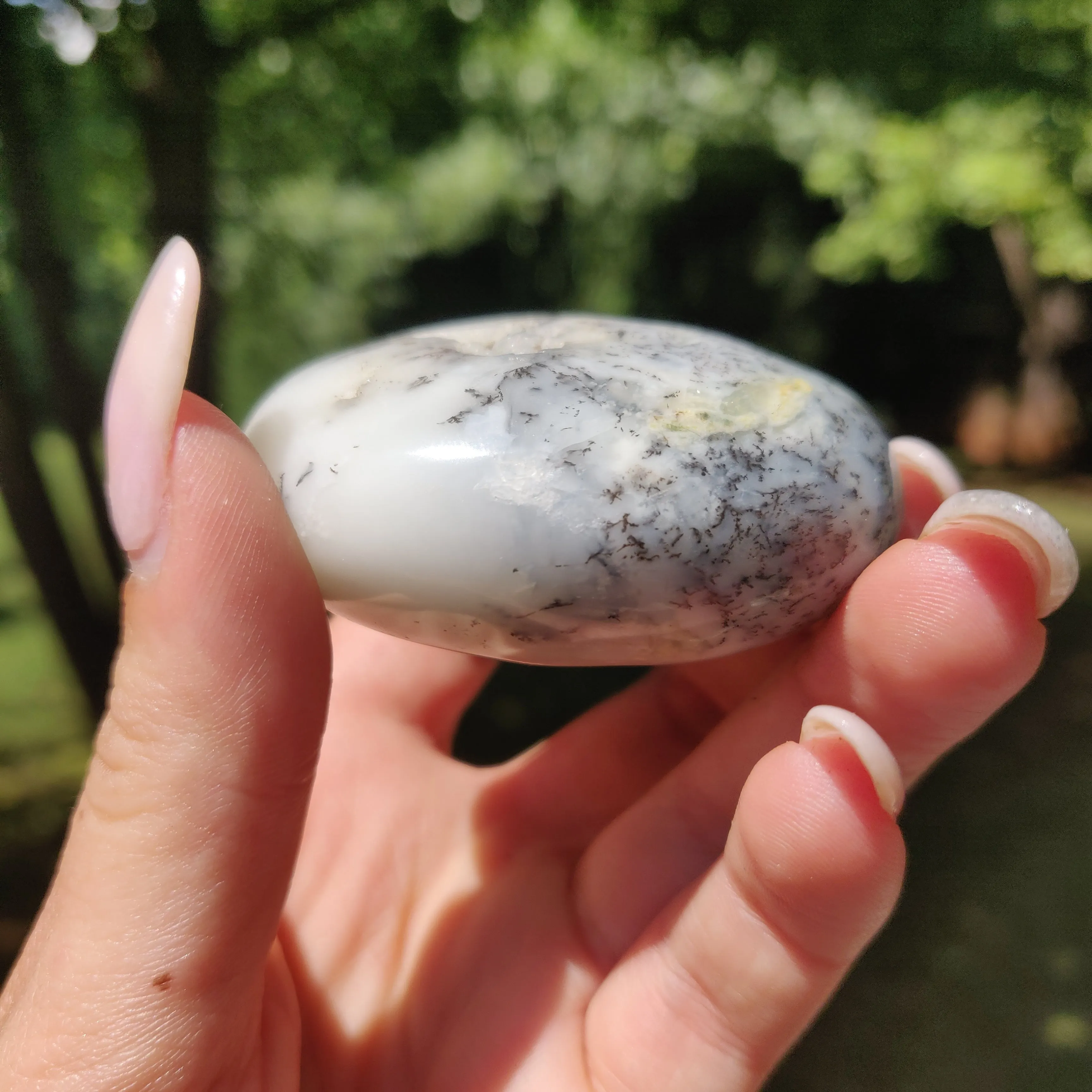 Dendritic Opal Palm Stone (#26)