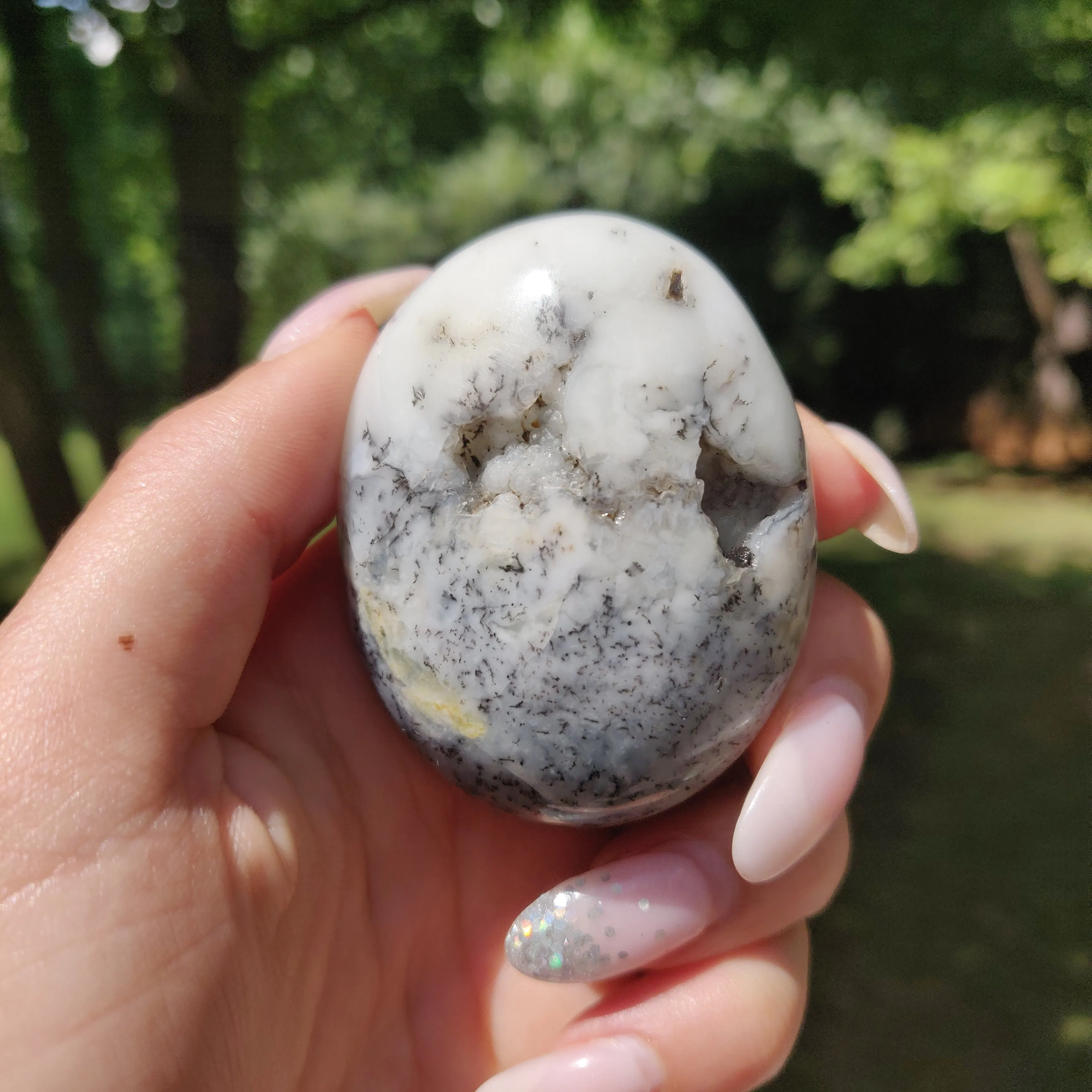 Dendritic Opal Palm Stone (#26)