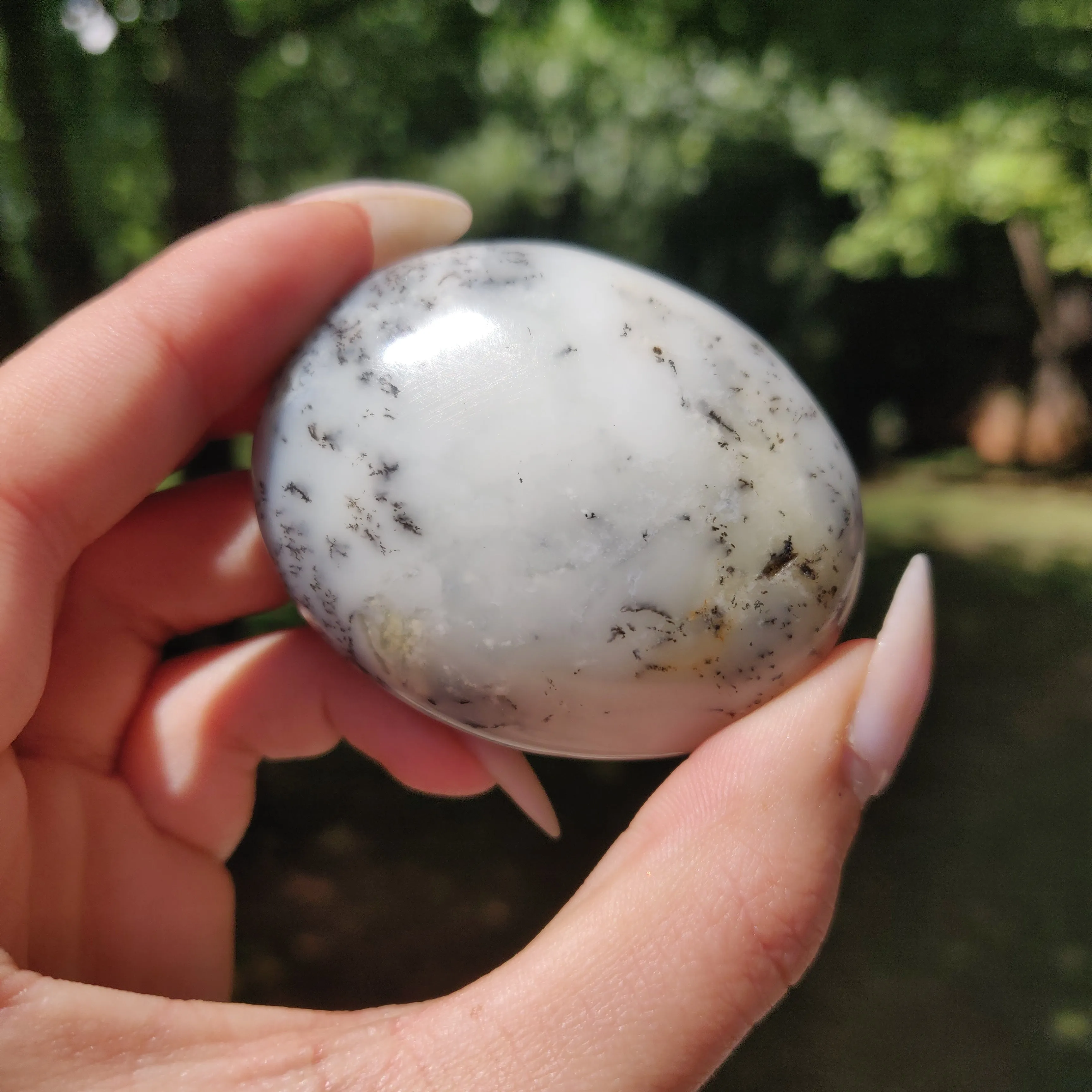 Dendritic Opal Palm Stone (#26)