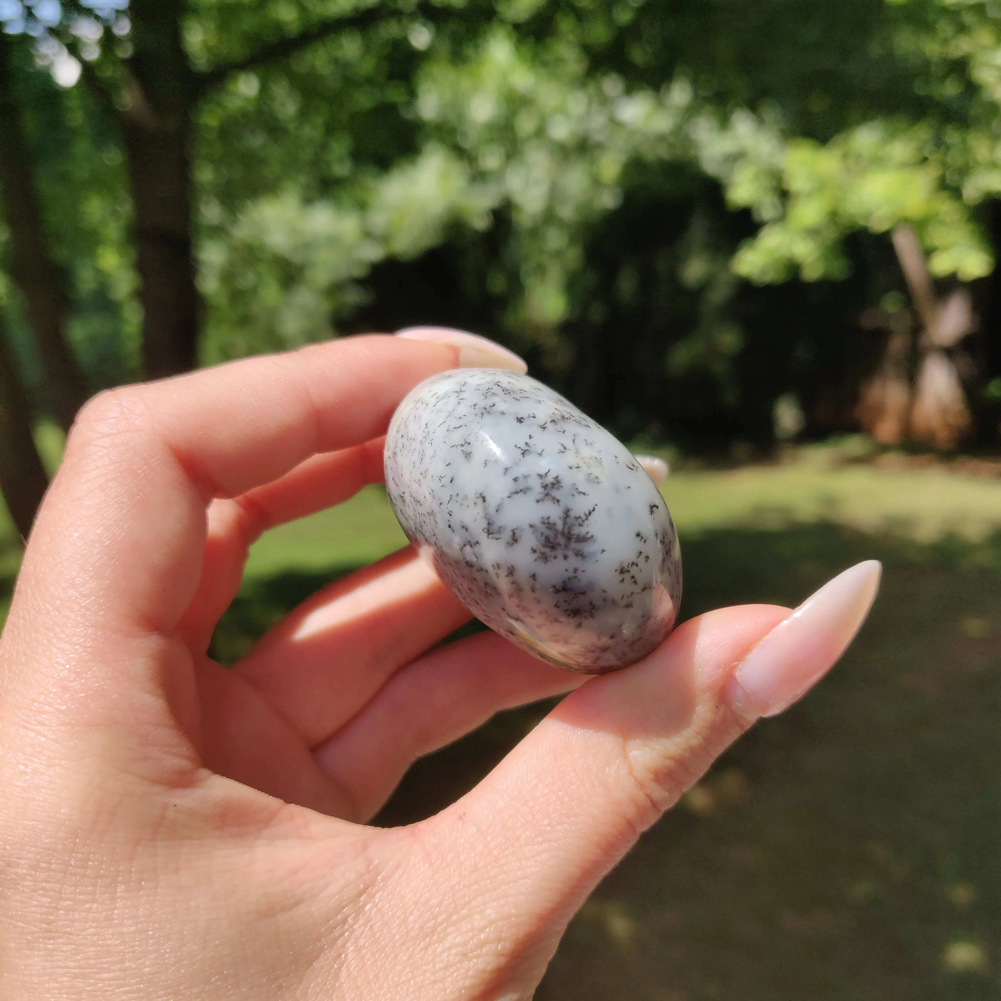 Dendritic Opal Palm Stone (#26)