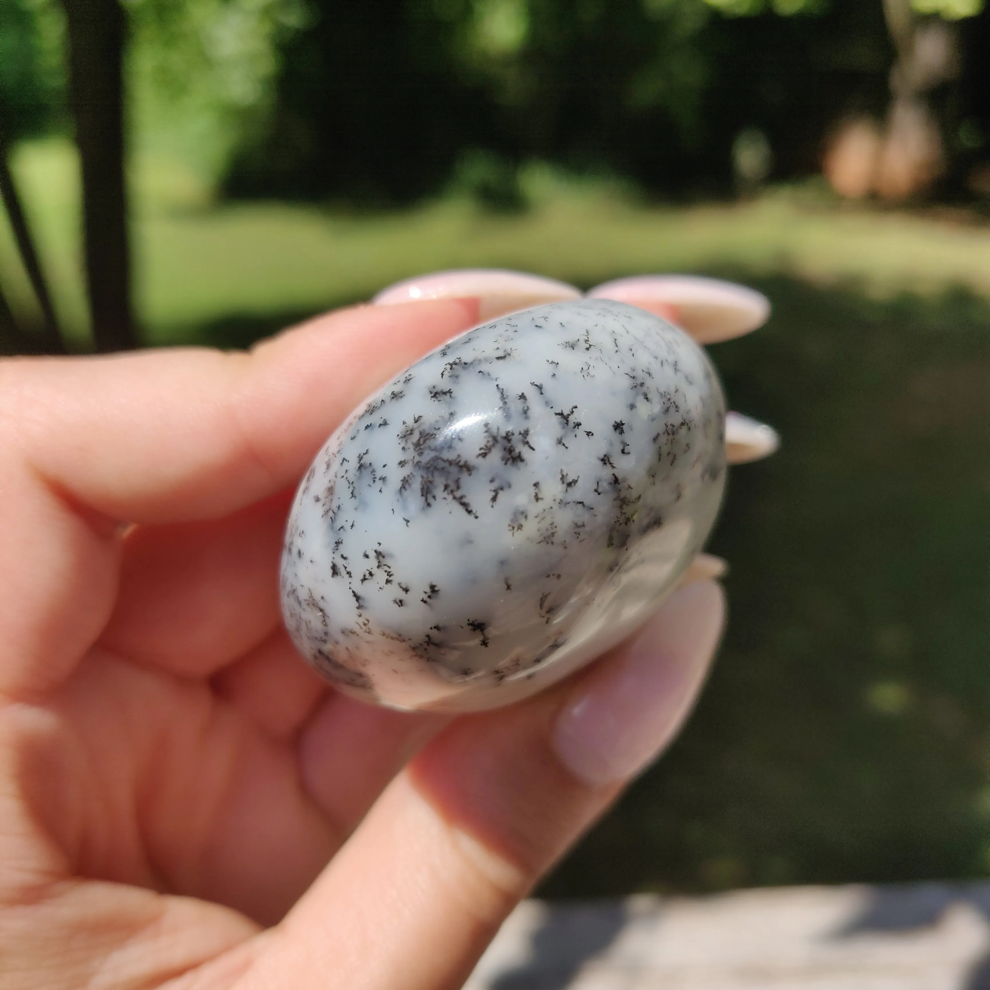 Dendritic Opal Palm Stone (#26)