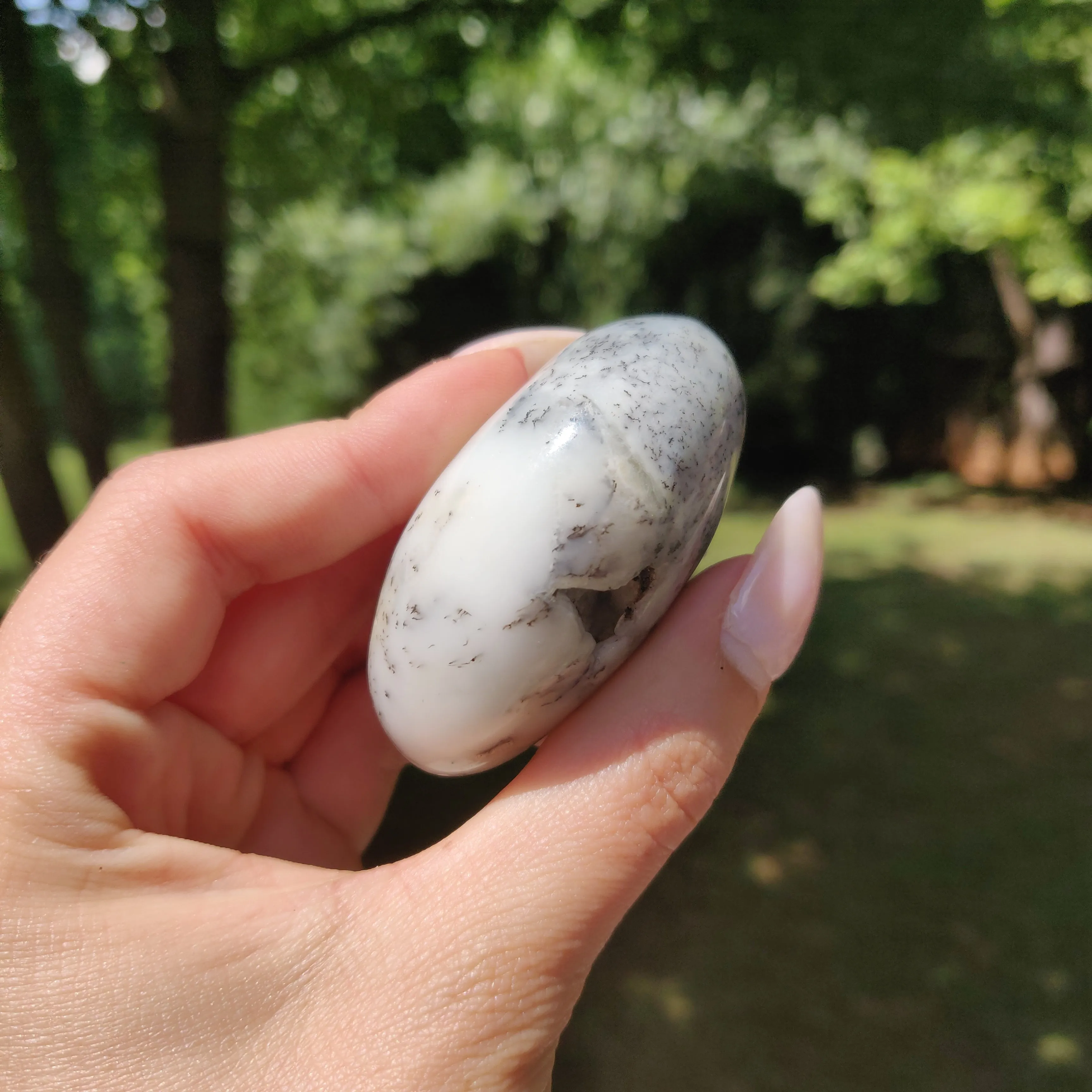 Dendritic Opal Palm Stone (#26)