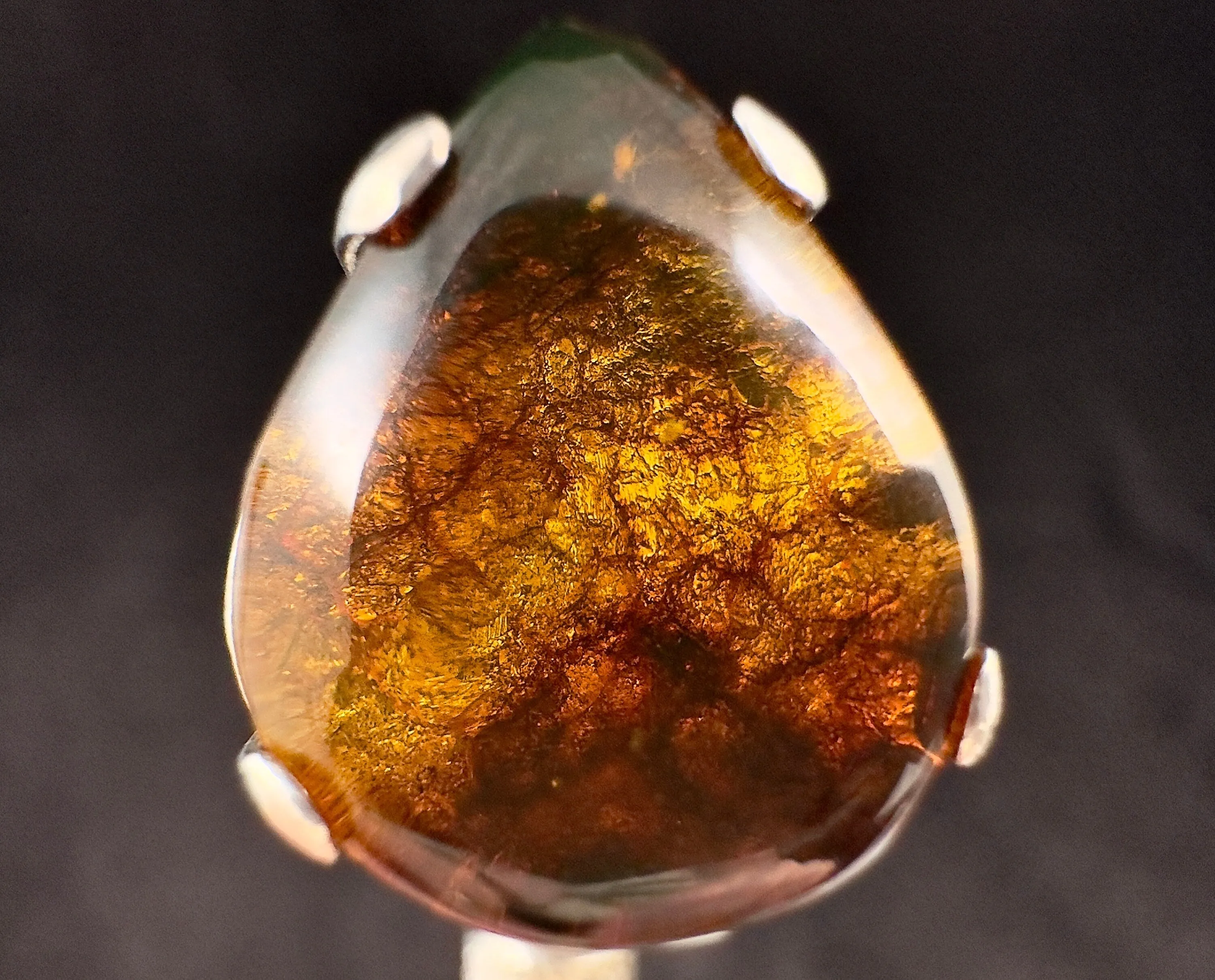 Natural AMBER Ring *Insect*- Adjustable - Genuine Sterling Silver Ring with a Polished AMBER Center Stone, 53763