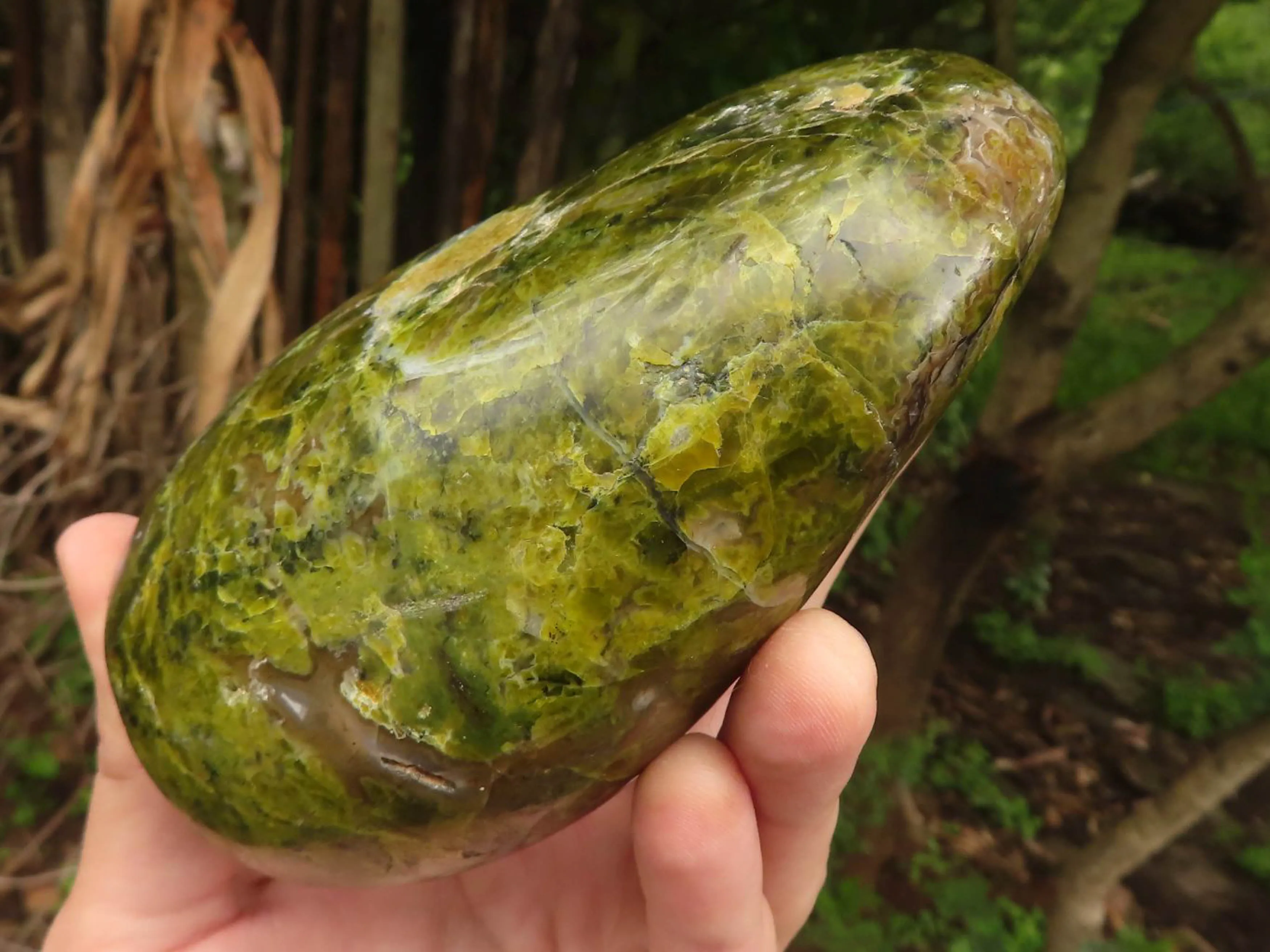 Polished Vibrant Green Opal Standing Free Forms  x 2 From Madagascar