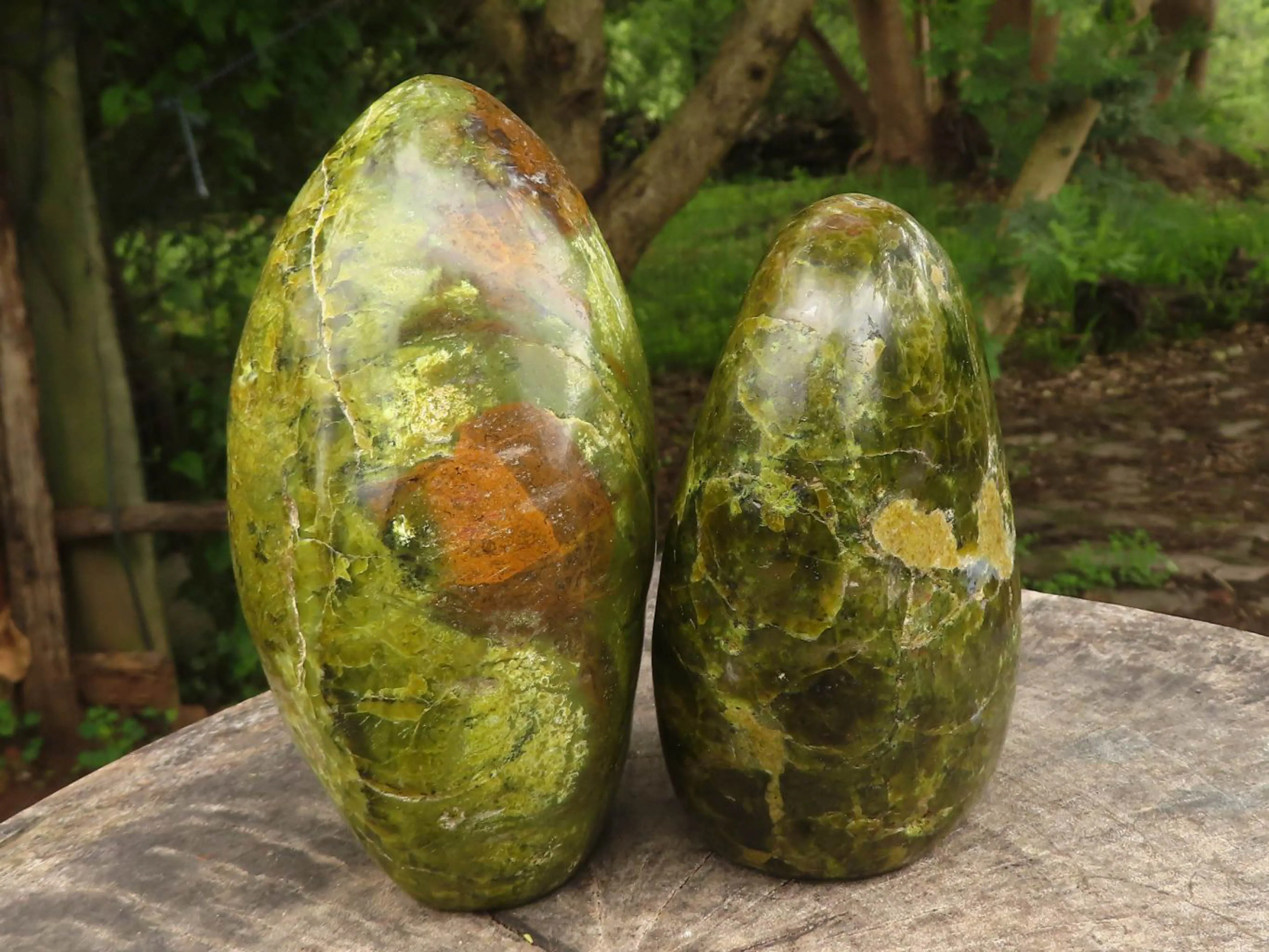 Polished Vibrant Green Opal Standing Free Forms  x 2 From Madagascar