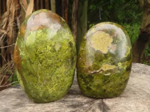 Polished Vibrant Green Opal Standing Free Forms  x 2 From Madagascar