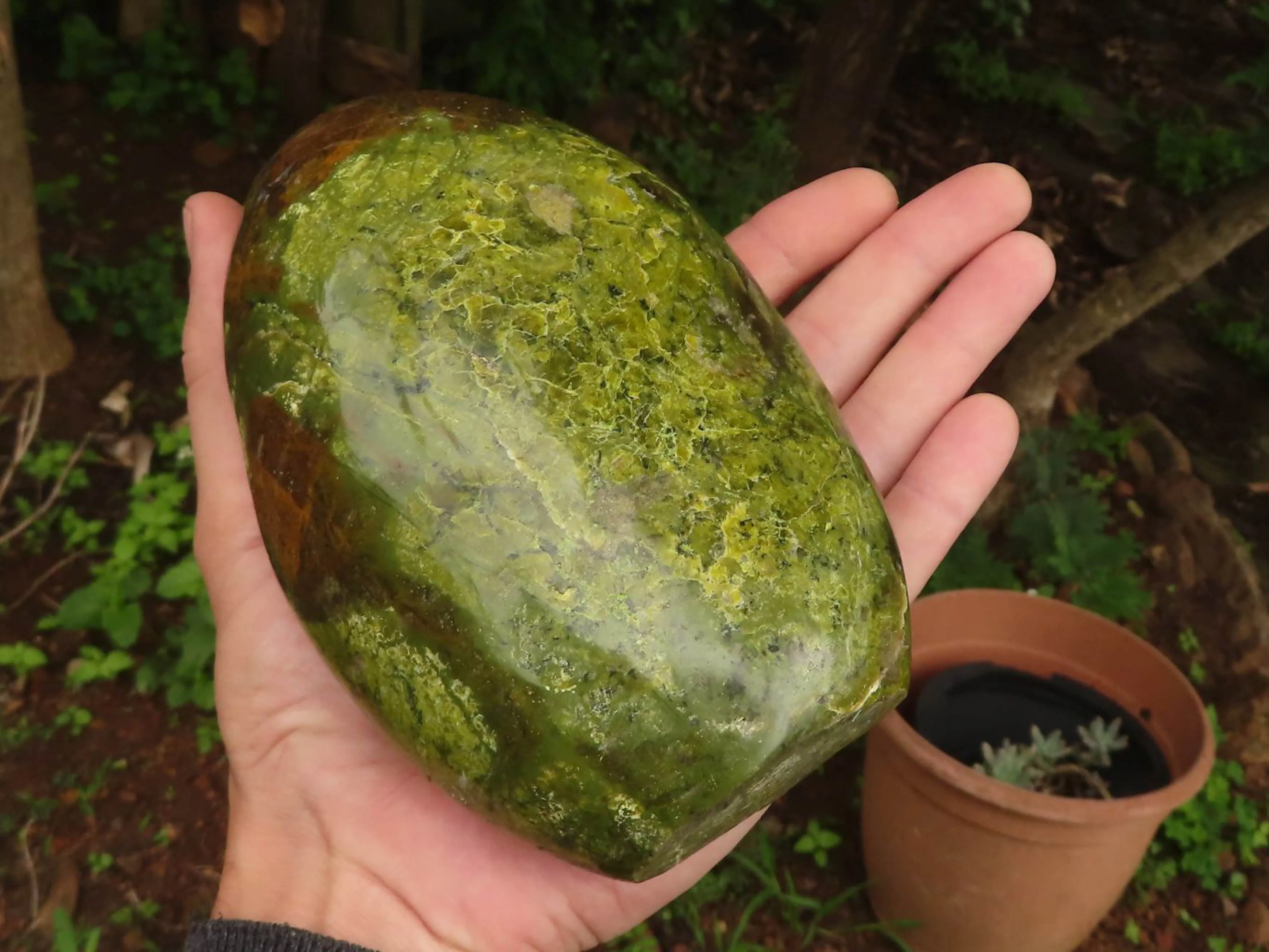 Polished Vibrant Green Opal Standing Free Forms  x 2 From Madagascar