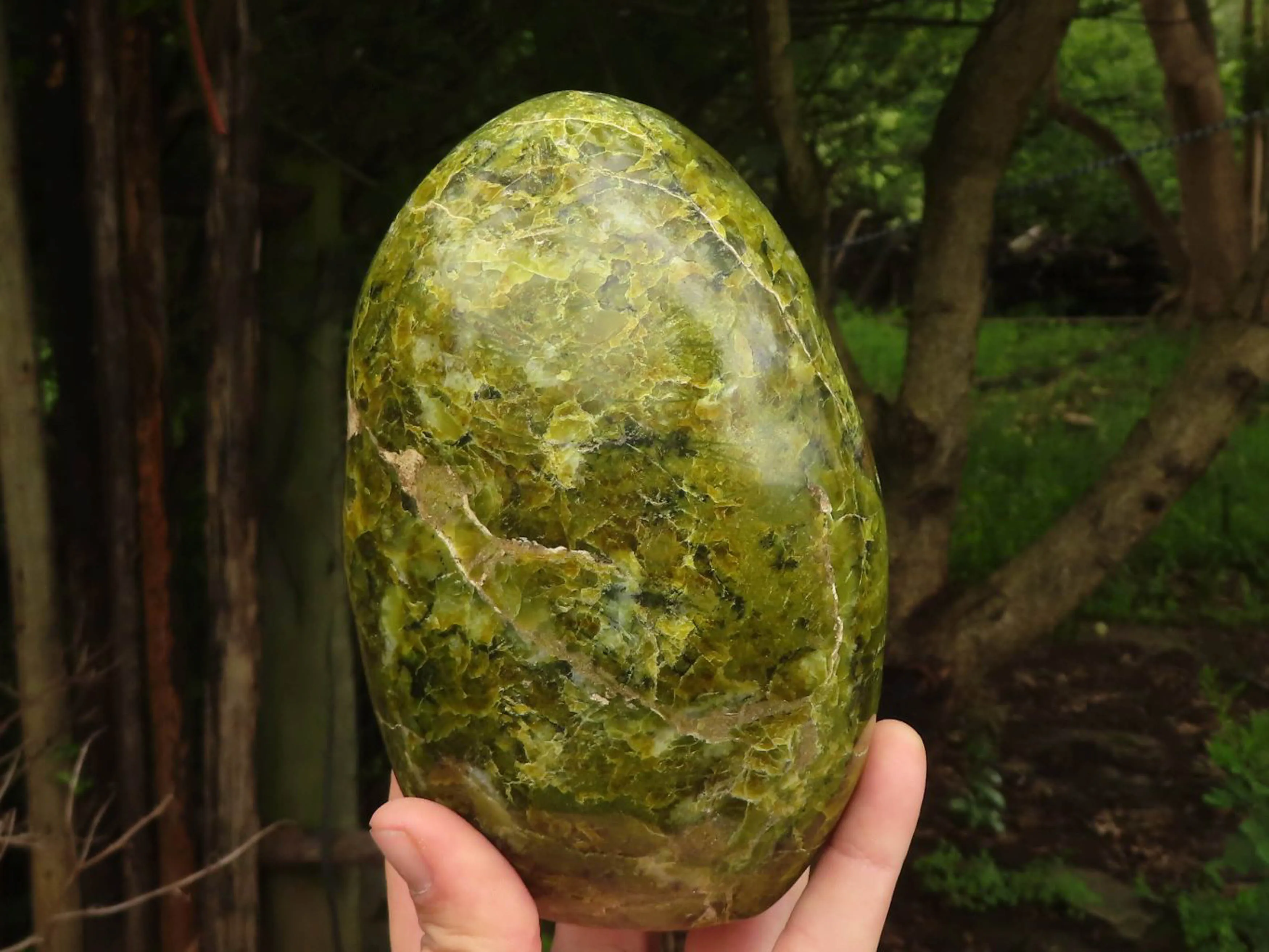 Polished Vibrant Green Opal Standing Free Forms  x 2 From Madagascar