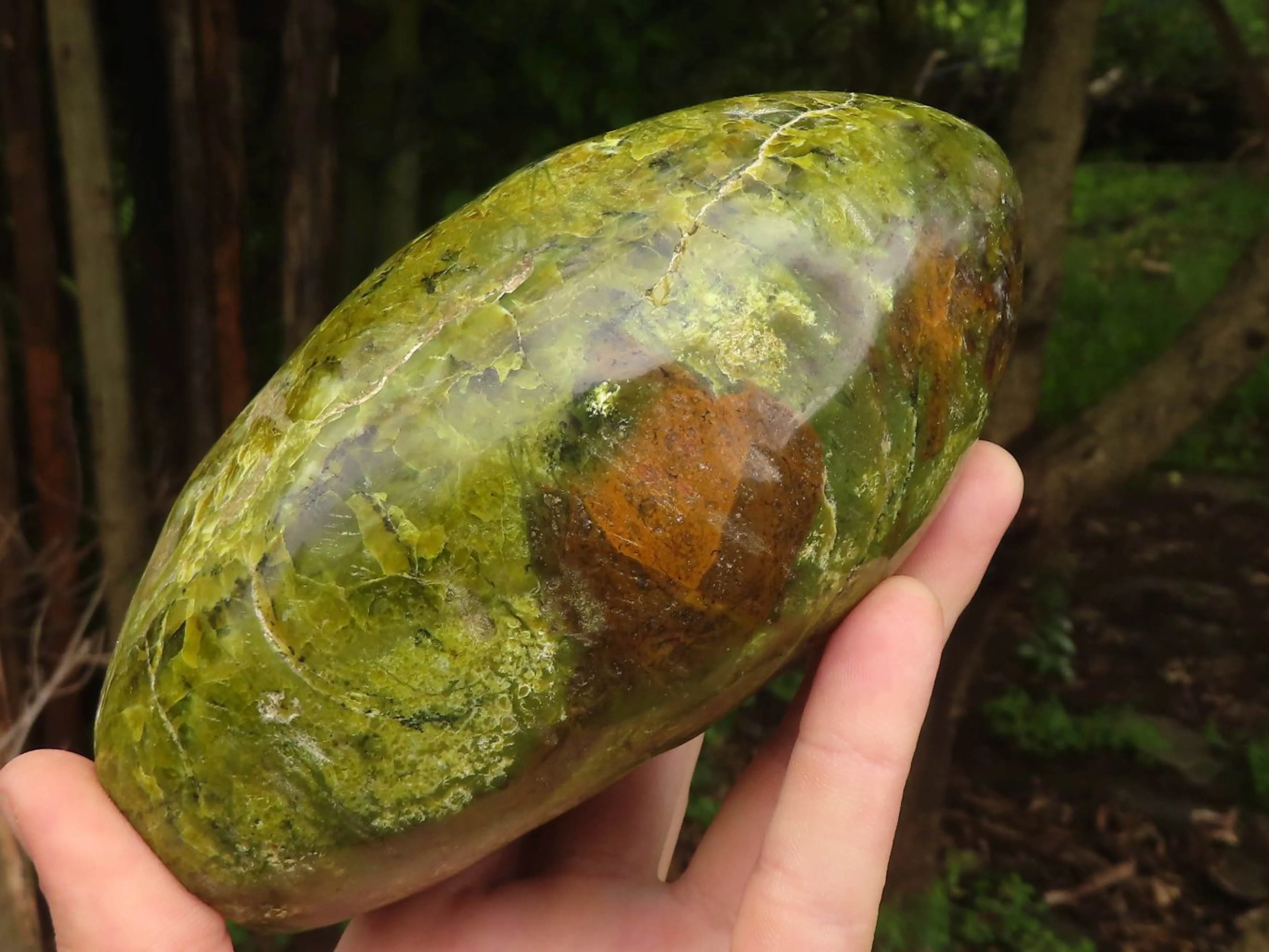 Polished Vibrant Green Opal Standing Free Forms  x 2 From Madagascar