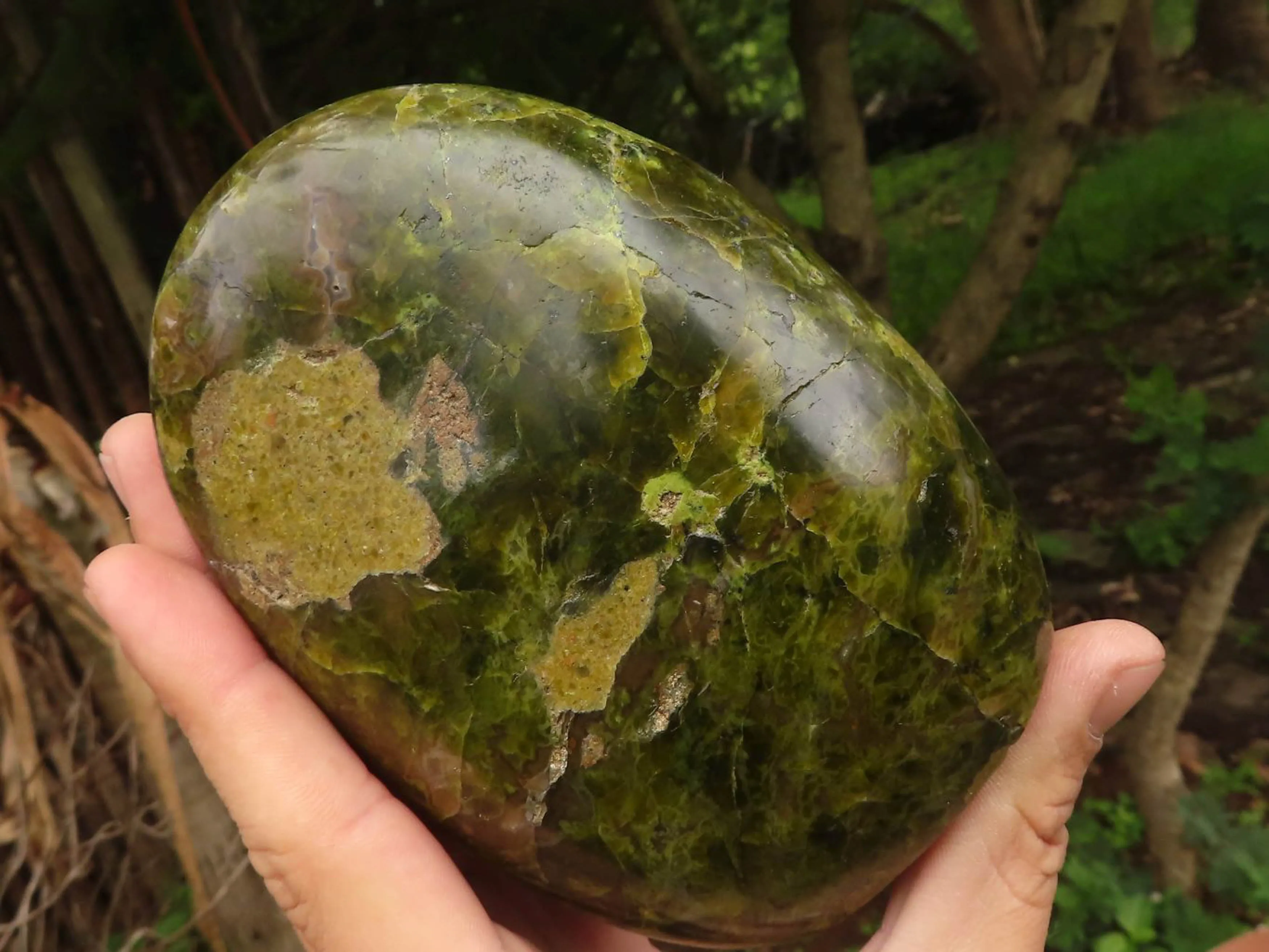 Polished Vibrant Green Opal Standing Free Forms  x 2 From Madagascar