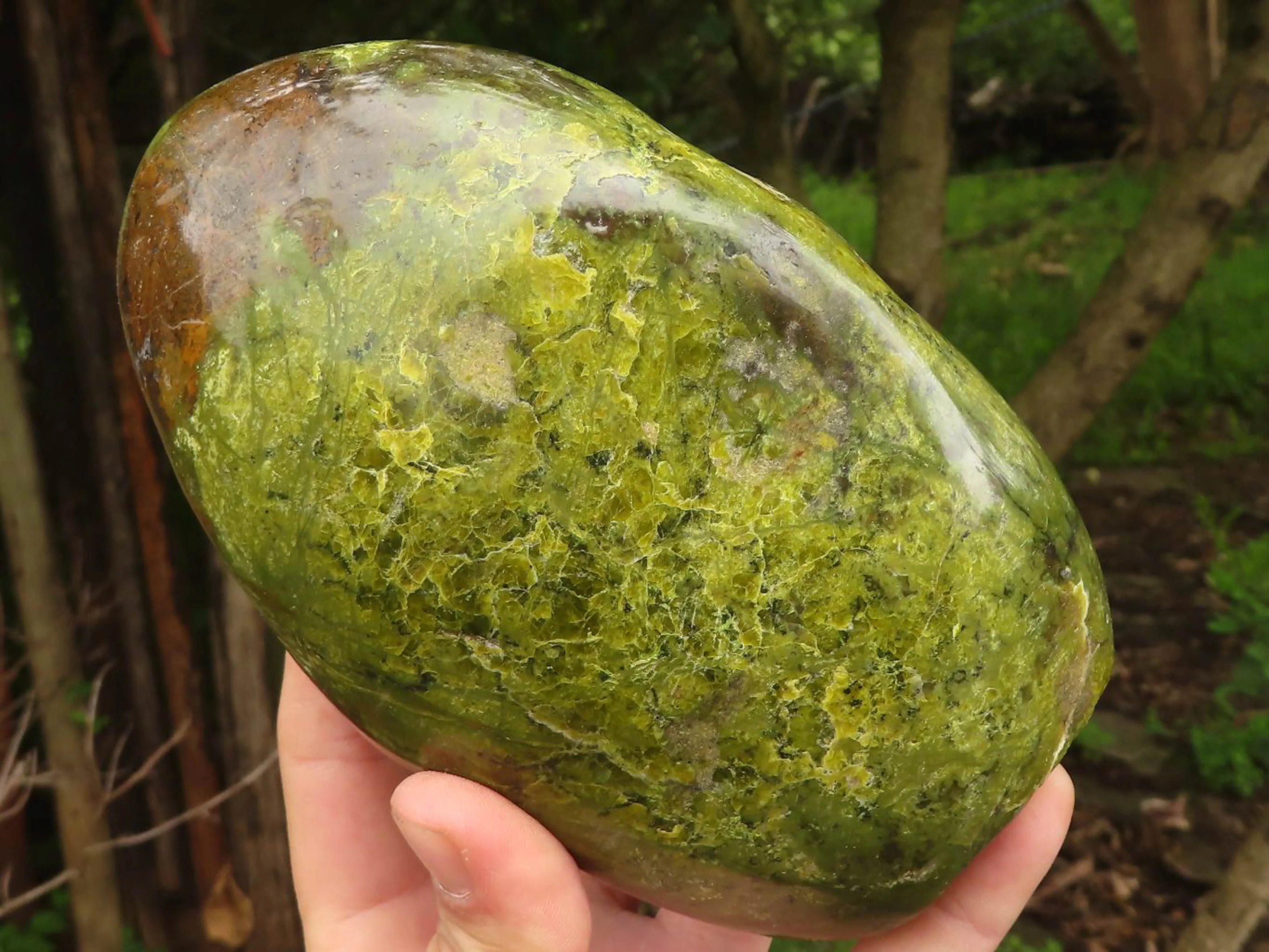 Polished Vibrant Green Opal Standing Free Forms  x 2 From Madagascar