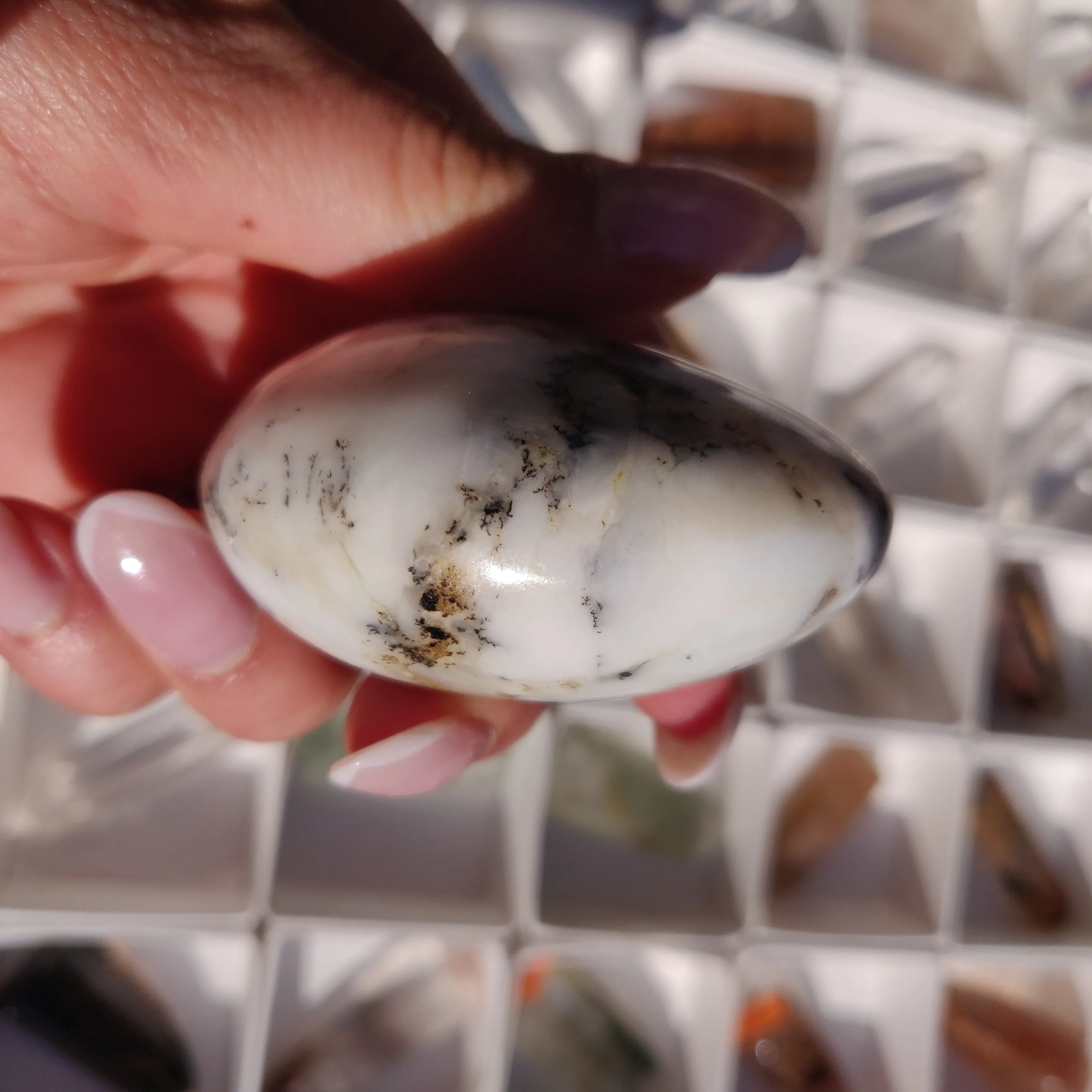 Purple Dendritic Opal Palm Stone (#15)