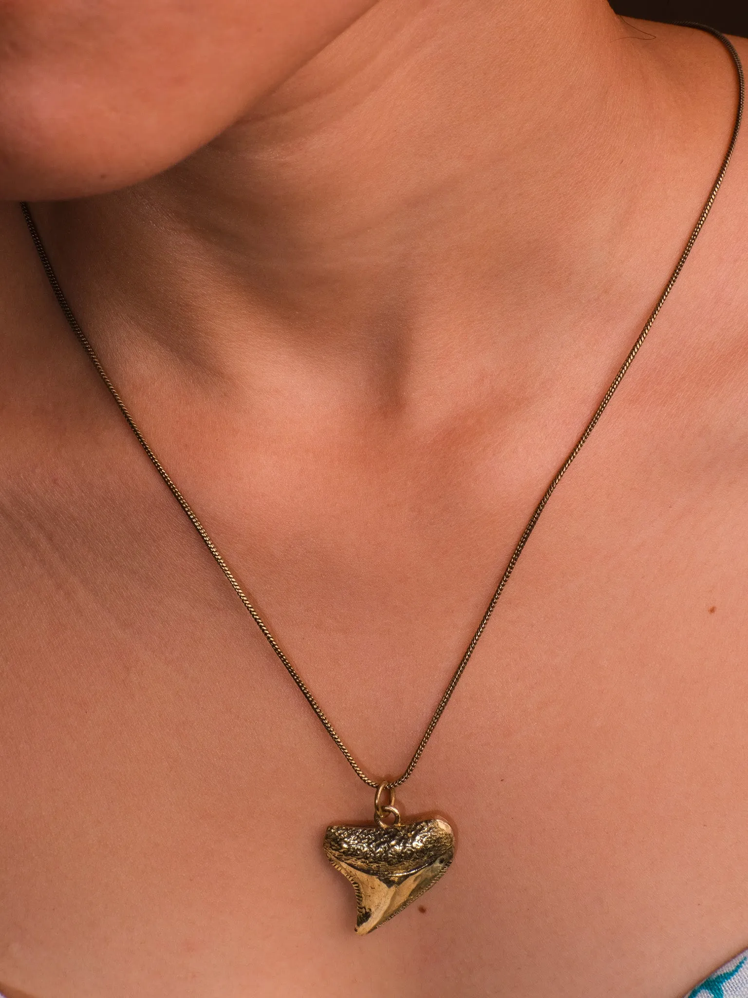 Shark Tooth  Necklace