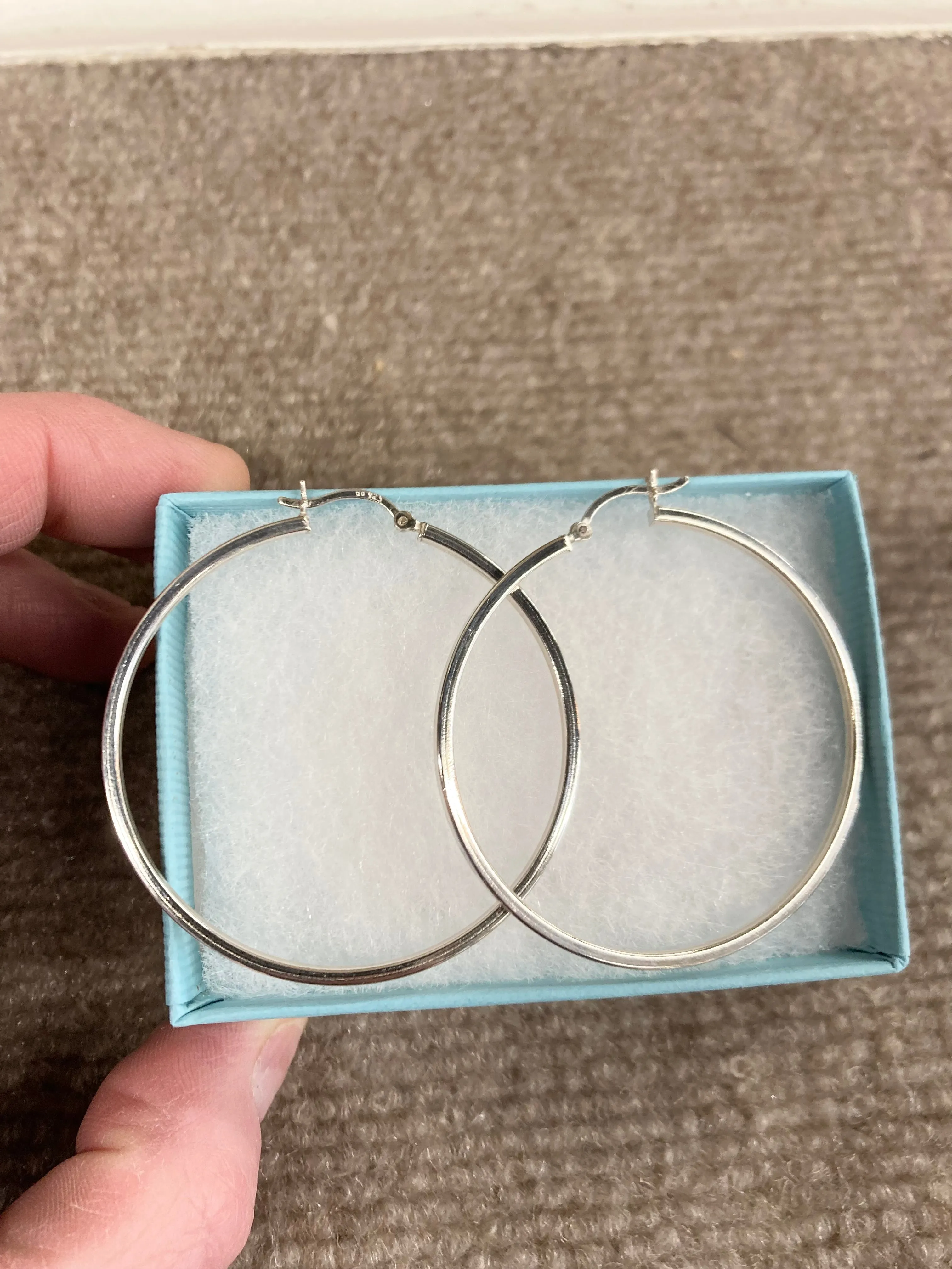 Silver Big Hoop Earrings